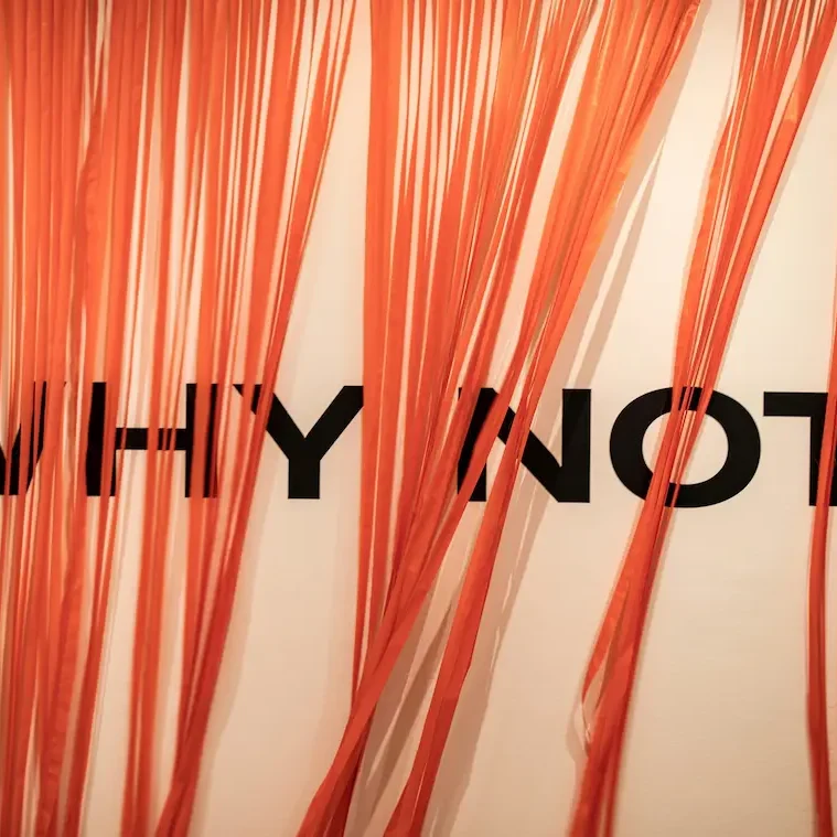 Texte noir "WHY NOT" sur fond beige, entouré de filaments orange.